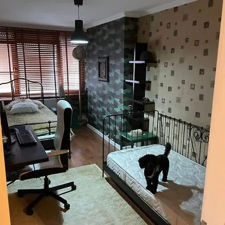 Pendik Dublex Apartment *