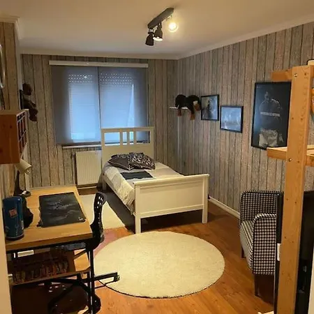 Pendik Dublex Apartment *